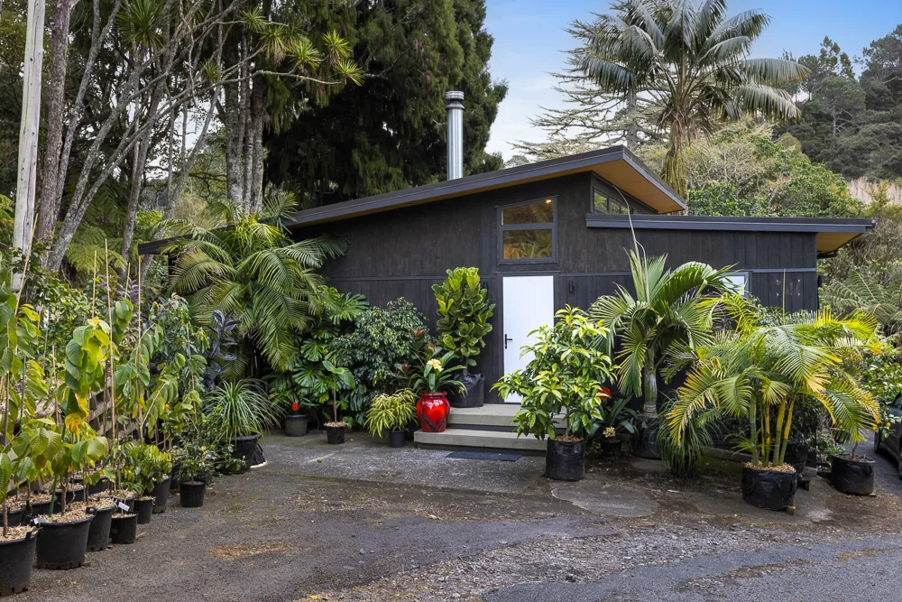 Side view of an Auckland timber studio building surrounded by subtropical planting, with mono-pitch roofline and concrete entry steps